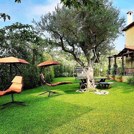 Vintage Home Nikiti  Ngoại thất bức ảnh