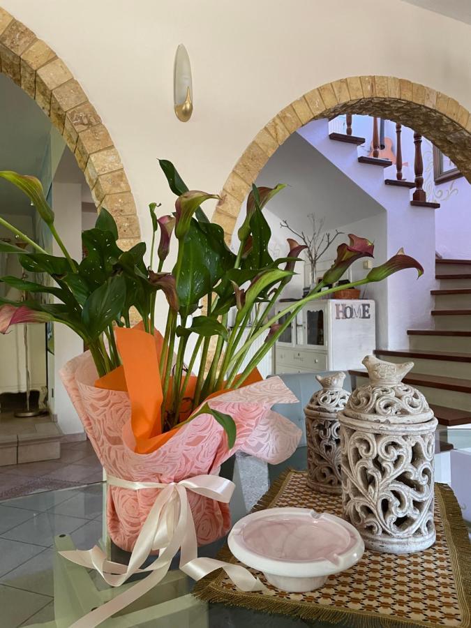Vintage Home Nikiti  Ngoại thất bức ảnh
